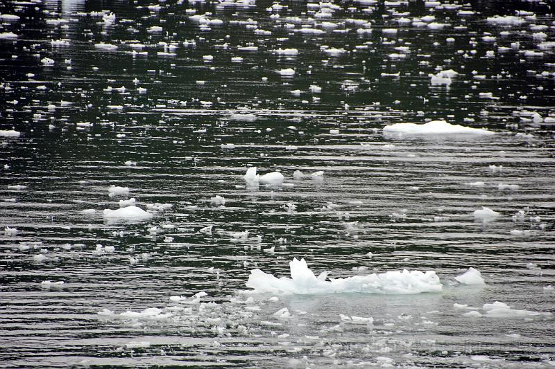 20071215 161628D2X 4200x2800.jpg - Cruising Chilean Fjords